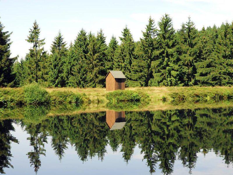 3138899ACAF99BF25EB607922C6300F1