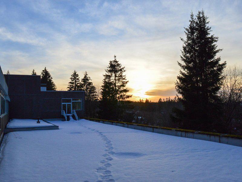 248C57CD2AC7DC9E53BCB91C749D77B3