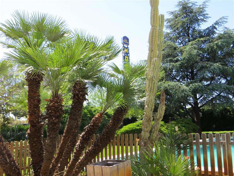 13D9896626DE7EB1B08BEDB71F1A3B29