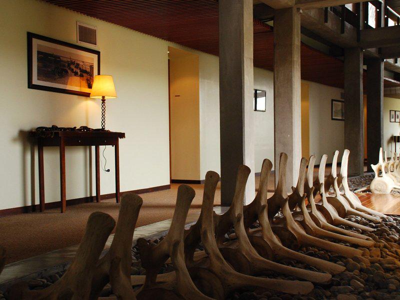 A32425CEE4753F969C2F4FA6560EC993