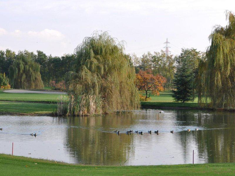 FE711BA628DC18381289646A8F1AAD17