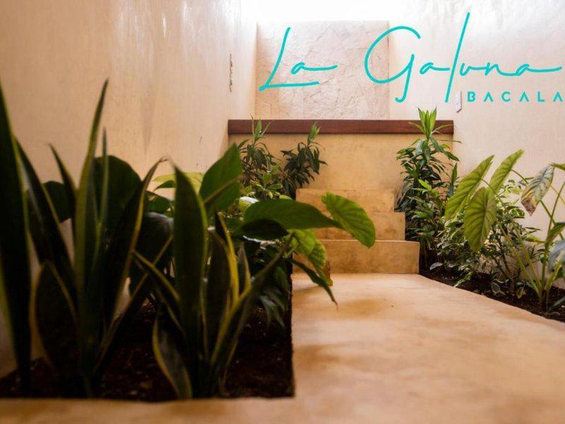 0904D6C979B4911F5D3BA4F9E037B864