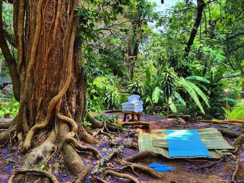 A2B7344D087E68E9534A5BA1AB508F41