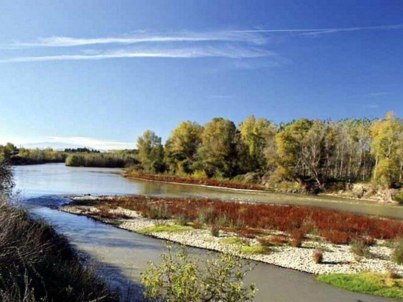 BC90E52ED08FDA70DE68A404846C8F30