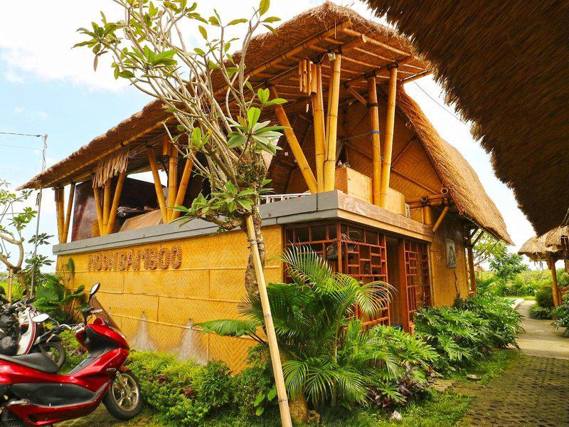 6EB9B8432DF3D339FD7C44E2F7493EC7