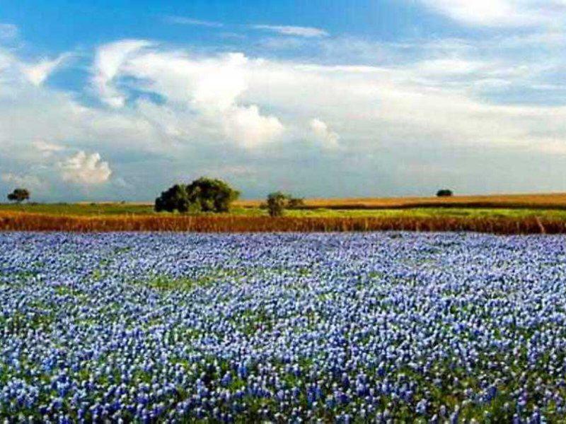 4690F4FD046B4B23A3DE3EBAD8E96C5B