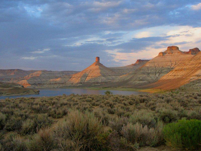 65919FEF046EF707967DBE571141C787