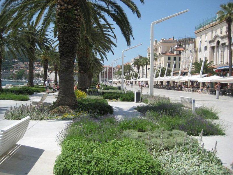 265BABEFD3CC1196A1CBC57A95FFDFCD