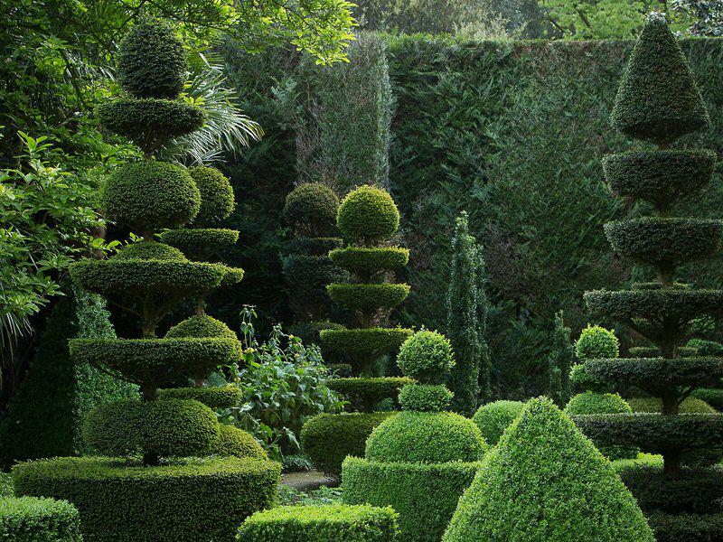 D4F13DD1CE1121A23EE308E047F91922