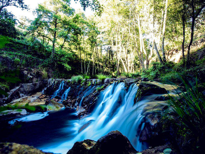 25847D4857C6673517D4265C425EAFB3