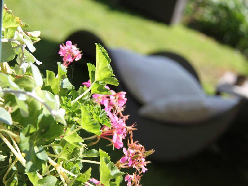 04395547205DFB50C9495338E051FE89