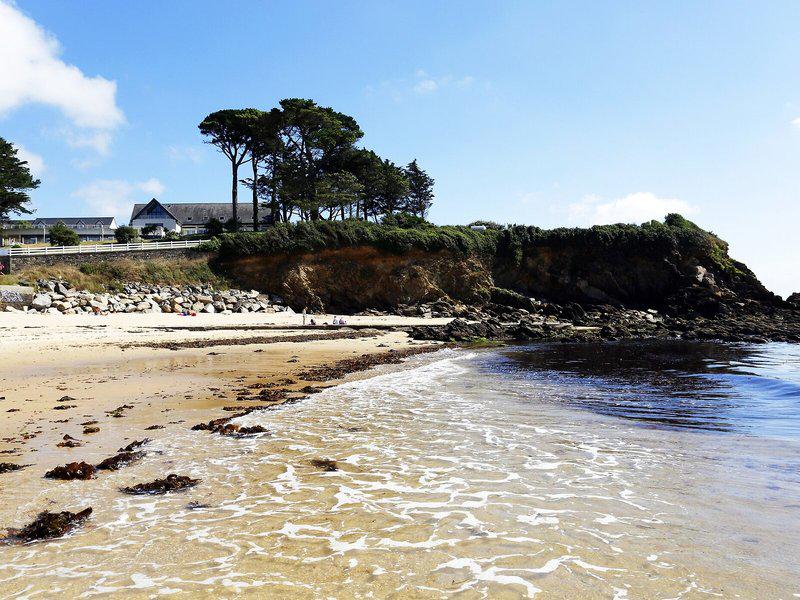 FAE862020DF49F0C45E142EA7C73FCEC