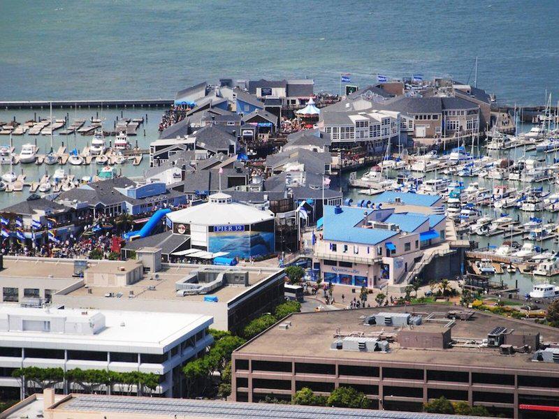 3F35F5D8872775CD16109354F2C7877B