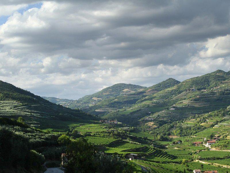 E501790FF208EB64BA3049A2956860B8