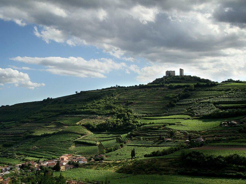 061A8F6571C721F1B29240D214DE0549