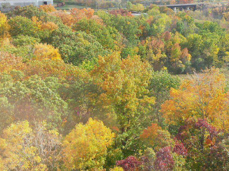 DD749C0029D67A7F671402E23B5D3806