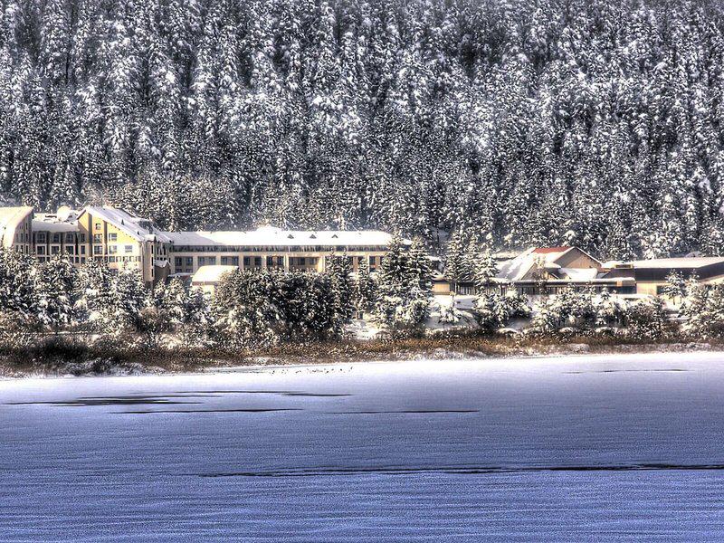 094CEA47DD8E8B1165269C479559FFEF