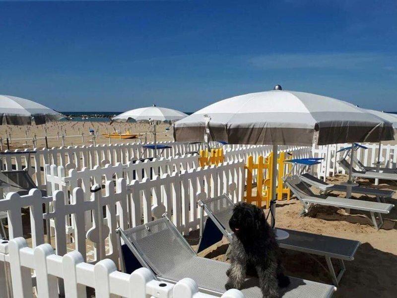 71D39D58FBBC960F4CCD6DD64AC74777