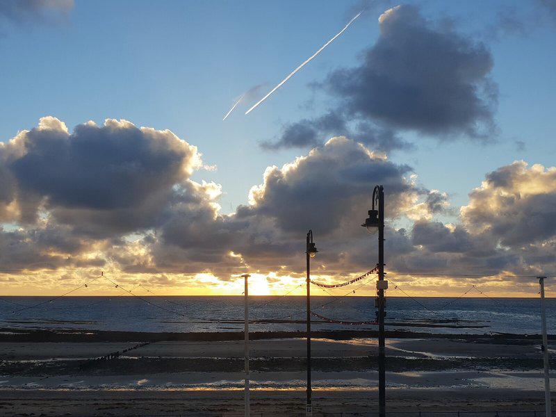 3B67477C2BD7090725DD4F917F0CDF46