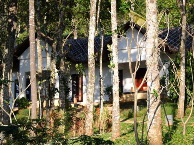 F4D98BE67B8FD69D56EE843DB35DA1CF