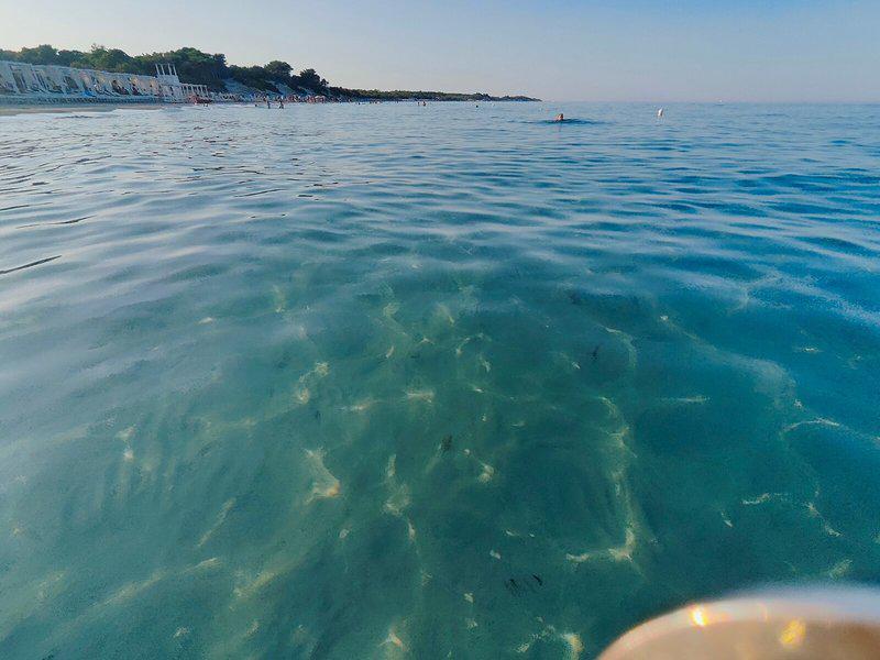 EE89CF76576BA2C88FEC0FC43A5B9971