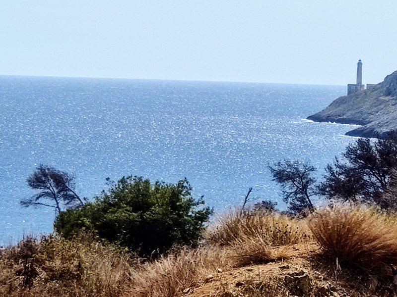 D3CF399AF23645FEE7DC6C1765CA7C90