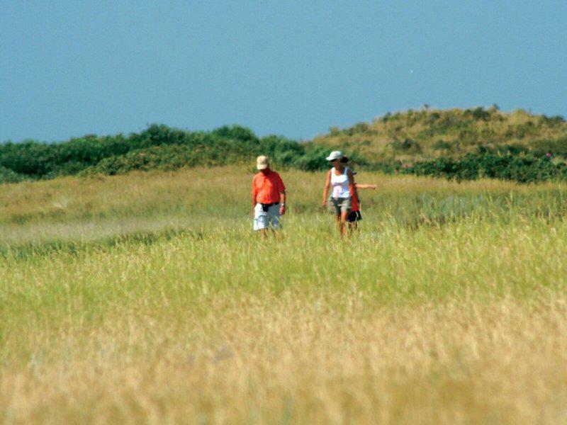 DE51C14A56282234E0C9910ADE750070