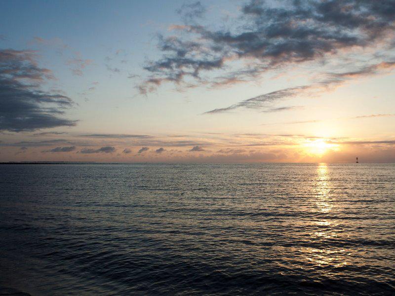 52A59C32E5AE8D2A39E3DD4A2188B7A3