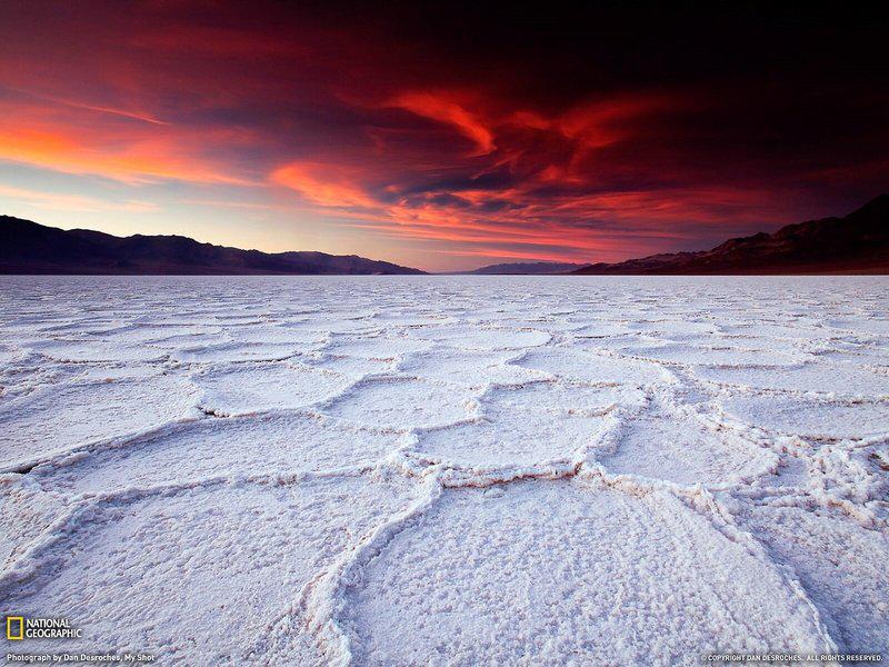 6F31CF773BC86B4DE721CF0F5A91D7DC