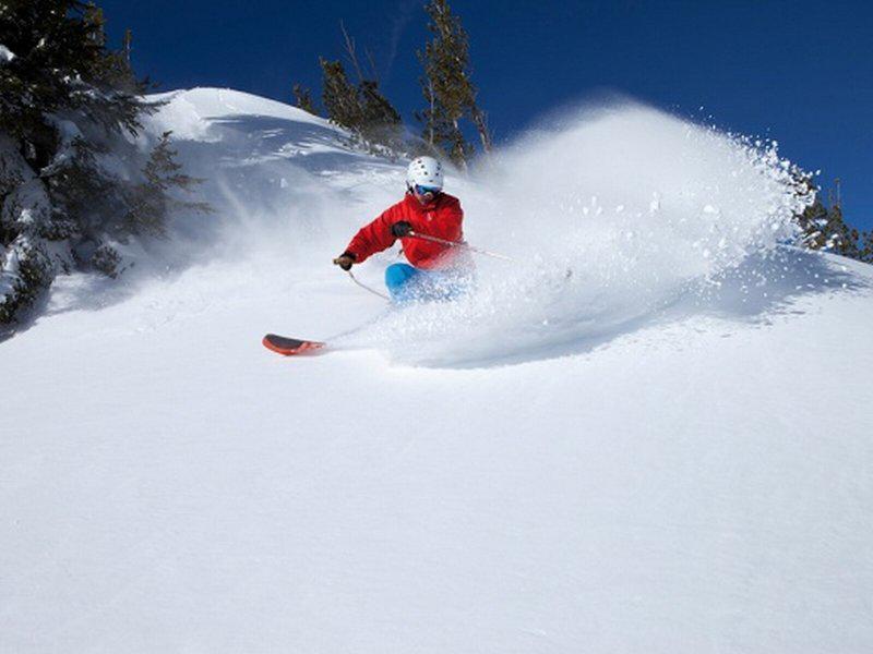 E09FFB2621025324DDC4B51C231C7A44