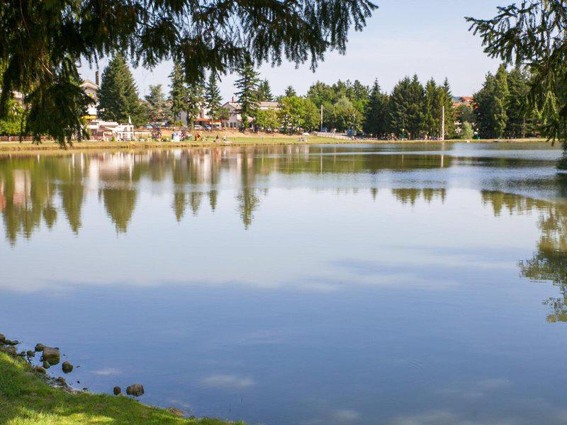 54F6DD805992D30A948DB2038FF47B32