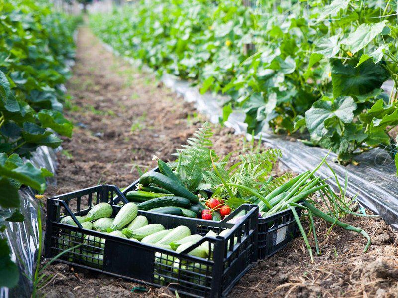 B3AA593BDE4B925D748CF8765D71D10C