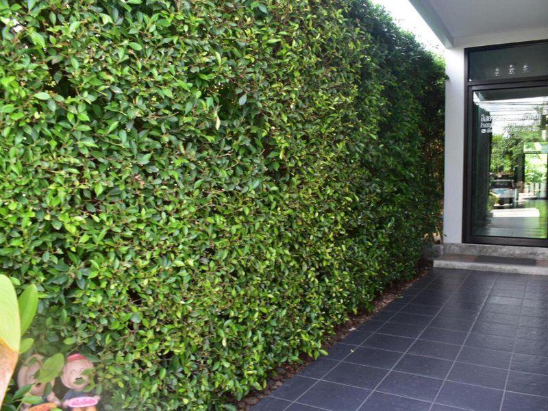 98434A55E320DA79749D2FFCA0C65E79