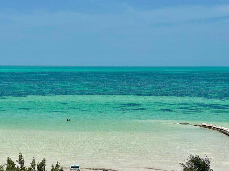 0F1110463FABF85139A82F07BED65EDE