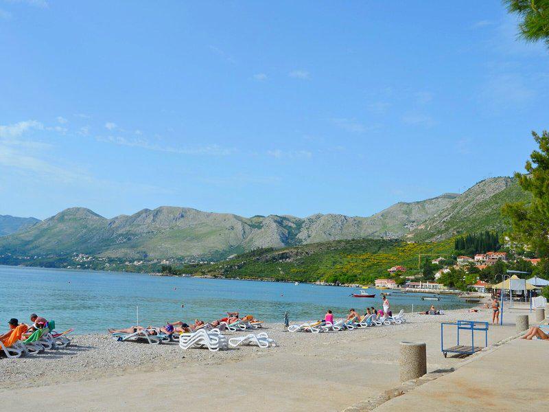 443D18FEFE6204AAA53E8DD140F80FE9