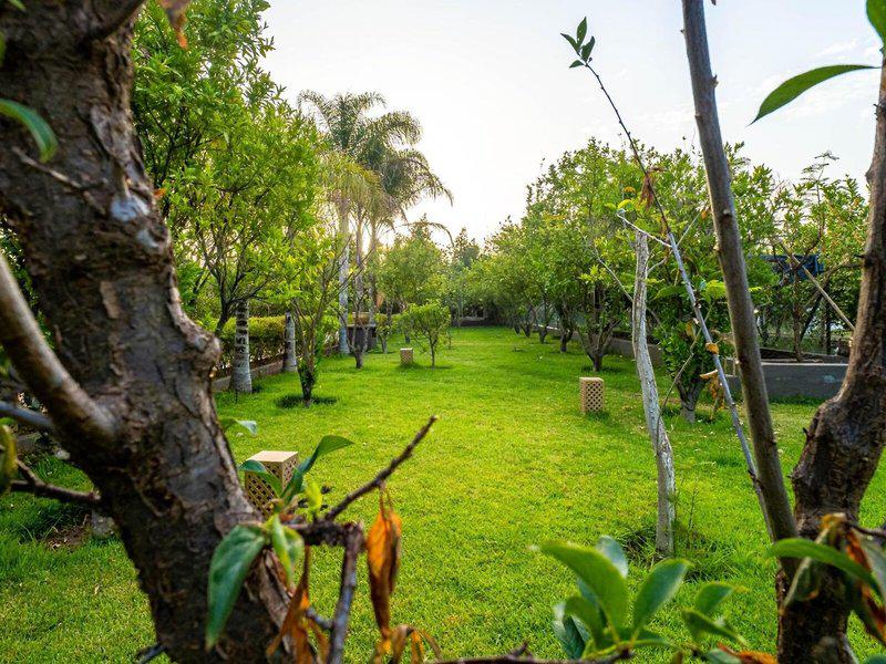 940B743851EAE71AD9599C0807200FC9