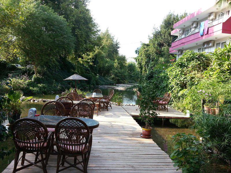 11447A03FFA2C4A7EC24FD1E6EBC4A2D