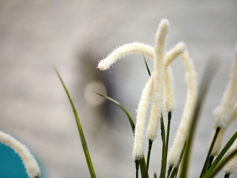 4DD63F33E88FAAFC05DF32FB0F00A188