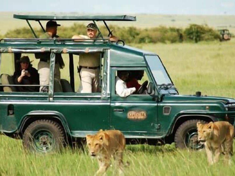 586E453A52E3E65C07EADFEBF24F32C2