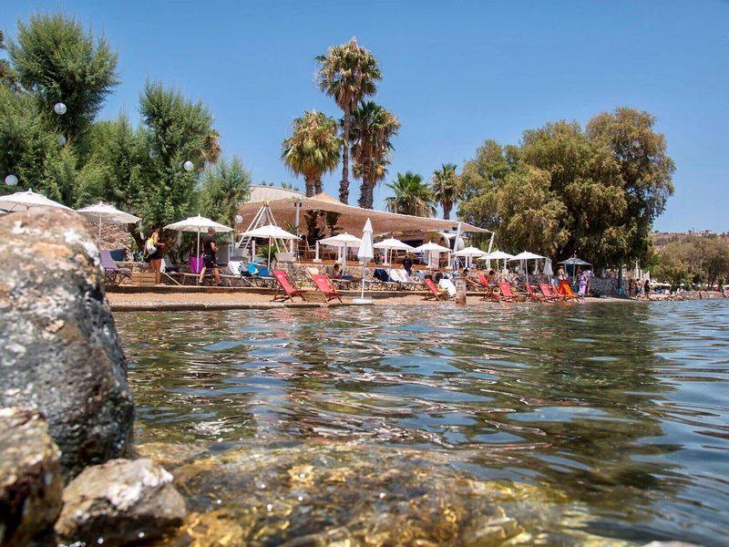 35C9F806FB18D9B95F20EE0D59744B31