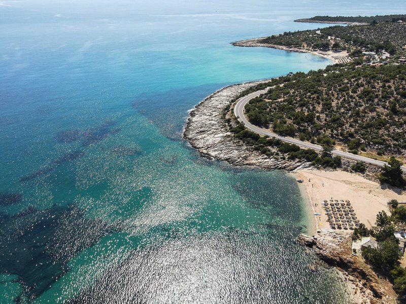 1CC692616490479A18BAECE49C266226