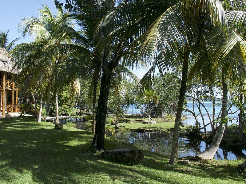 D8A3AD1C04AE0B2AEB4C7FA8D2AAB667