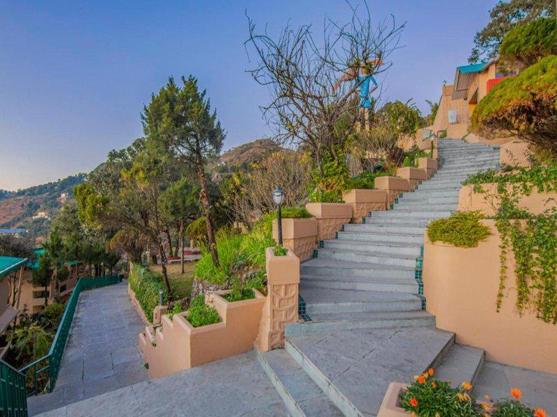 DAC355F42A7B4F450EC15E1C6E94F894