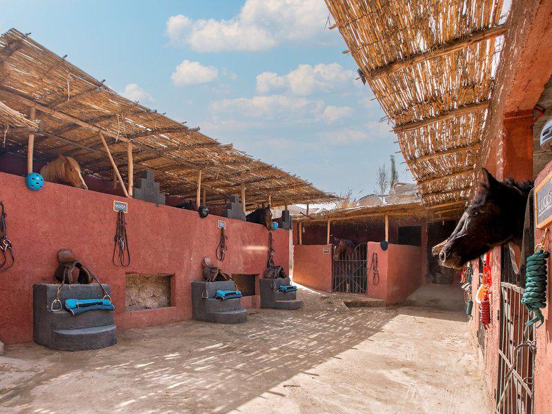 291BD4F97AAA8844BBE787D917B76590