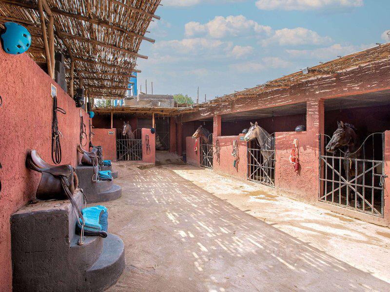 F9724733B1A6F060BE455A739CC5EC1B