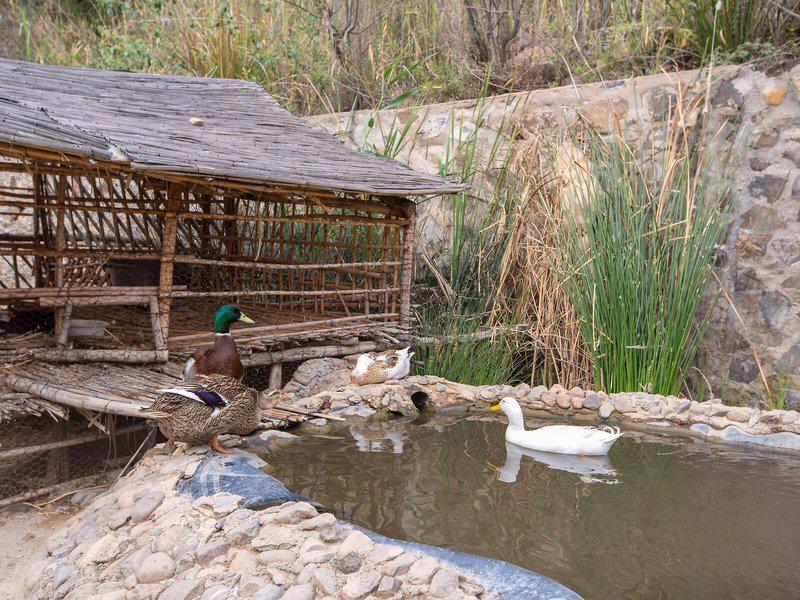 CC6759D9245B8834B3524DC14922F76B