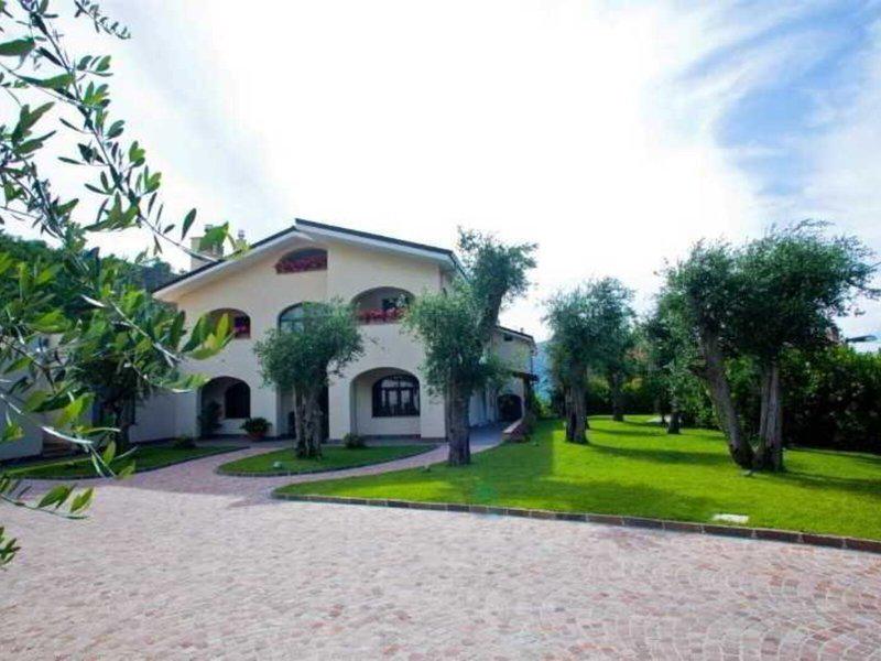 47A6382EA5287A0C9B1DD319E93953DF