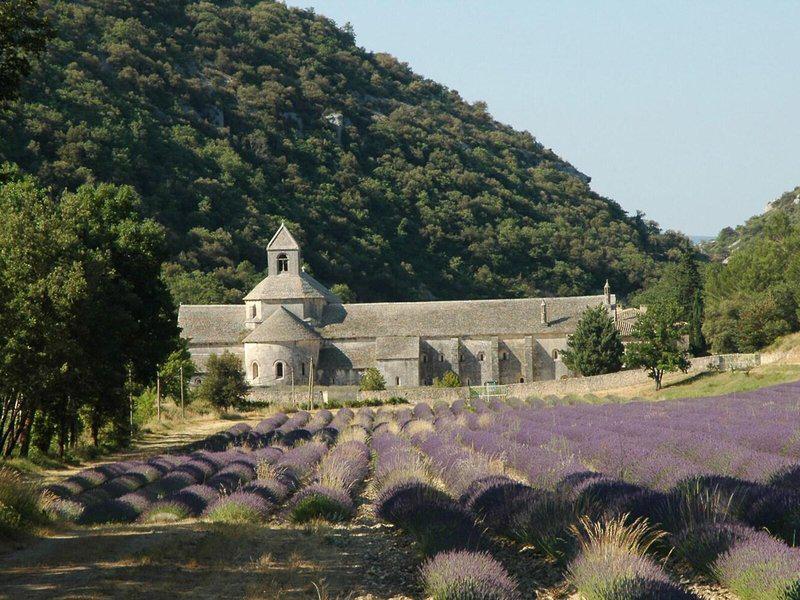 BB08546FBA73FBC75D073FDFAA1D4B8F