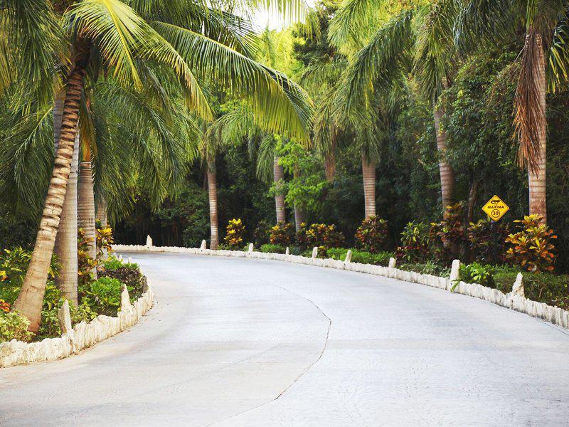 58ED3878FFFA8E5344FBA681C765041A