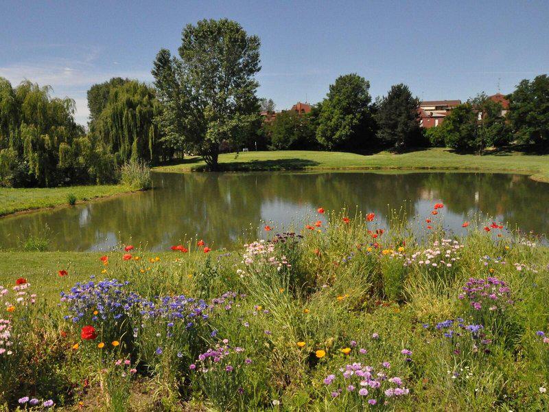 B71BFD3DA6E7FA58FF21BBB79BA78165